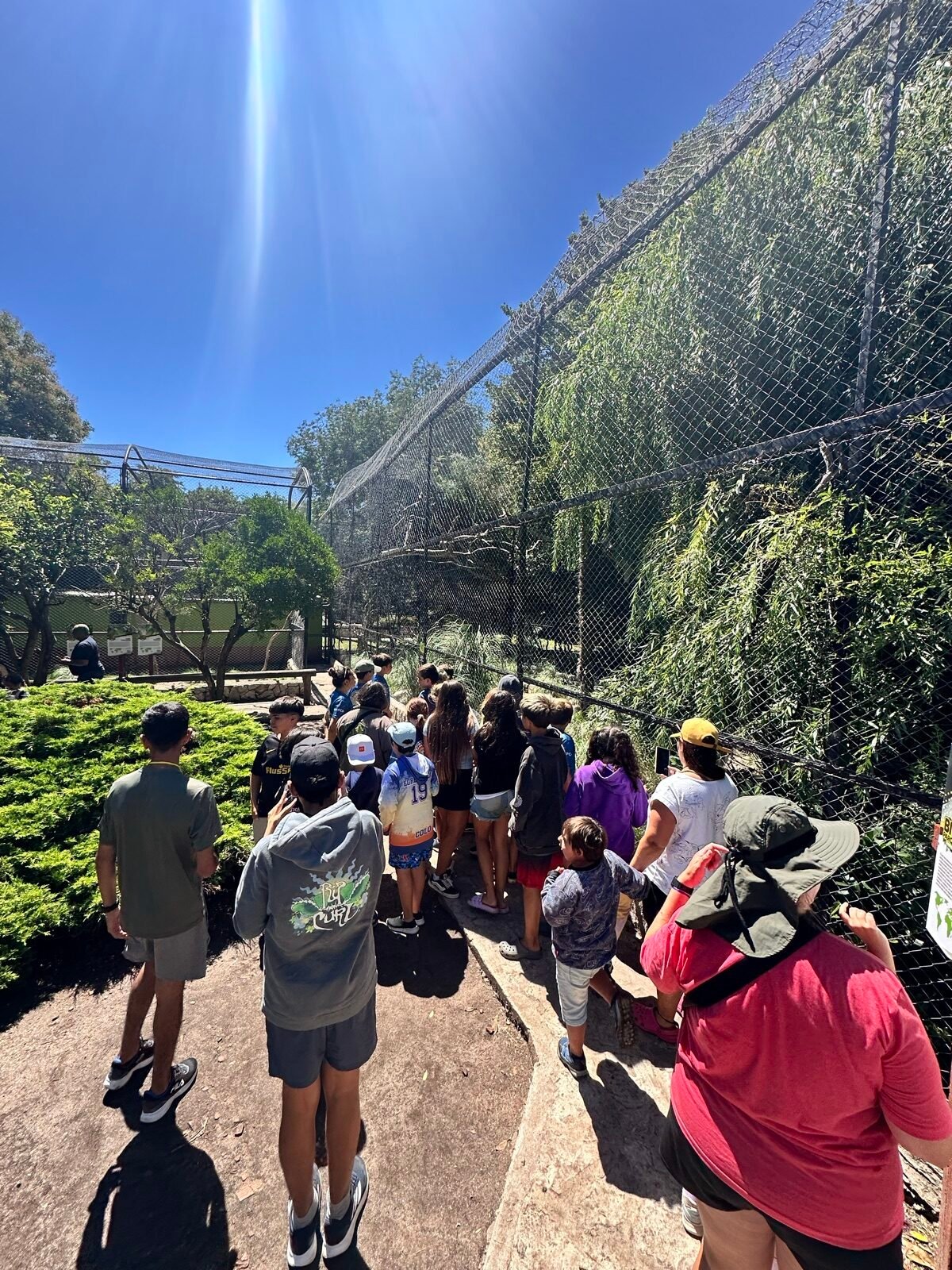 Caminata por el zoo con la Colonia Arcoíris