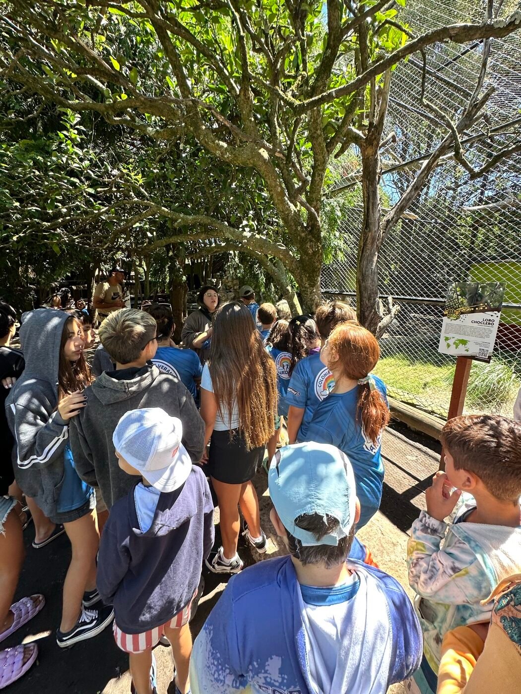 Paseo por el zoológico con la Colonia Arcoíris